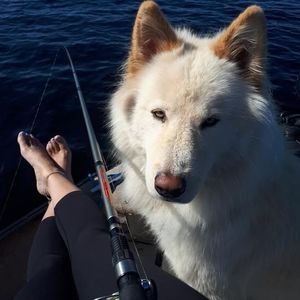 Meet your Posher, Marie